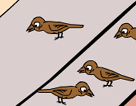 ſȸ