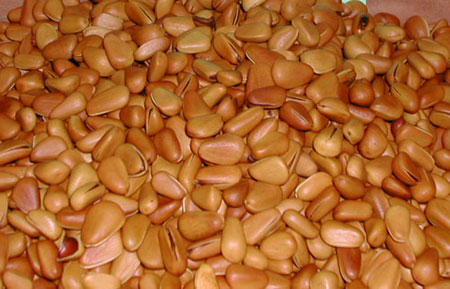 �и��سԵļ��������(ͼ)