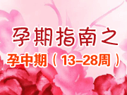 ������ָ�ϣ�13-28�ܣ�