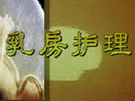 �鷿����