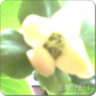 �Ҽ����ӷ�����