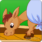 ����������Сë¿