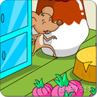 С����ʹ󼦵�