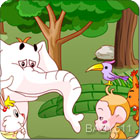 ɭ����������