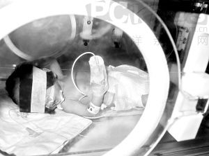 ��θ���������ѡ���·�