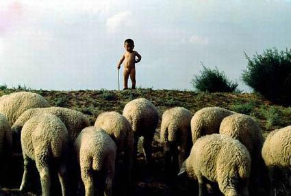 ������һ�����������Ϸ��������������� 