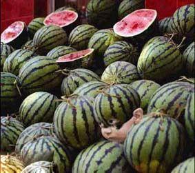 ������͵͵�ܻس��X����������ά������ 