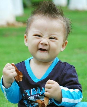 �ɰ������ı�����