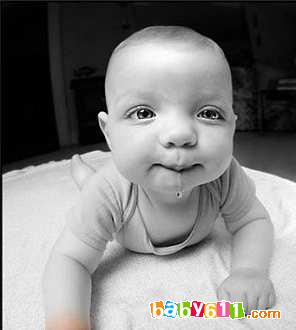 ��ͬ�·ݱ����������ص�