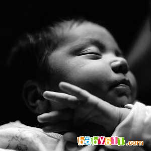 ��ο���С����������(ͼ)