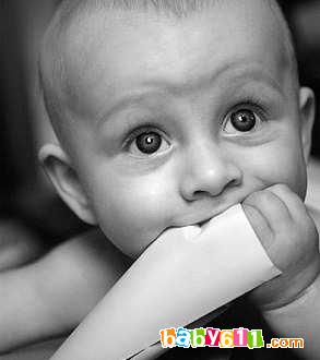 Ӥ����������չ���ձ�(ͼ)