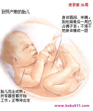 ����������̥��