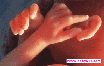 ̥������ͼ��: 17��20��ʱ��̥��