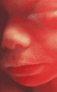 ̥������ͼ��: 21��24��ʱ��̥��