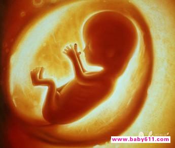 ����ƾ���Ӥ���к�Ӱ��