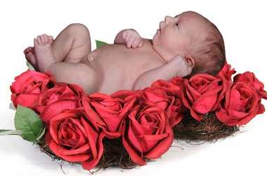 低体重儿更易患上伤寒(图)