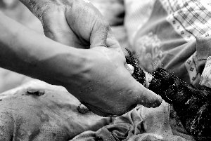 �������綰Ϊ���ѵ�8��Ů�����һ�α���ӣ��丸ĸ�����ӡ�Ů�������õ�9�����ѻ�ʧ�١��»��緢