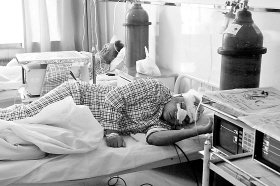 ����������������ĸ�׽������ͳ��ϴ������