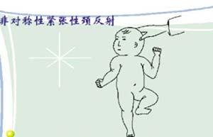 ����Ӥ���˶������ķ�չ˳��