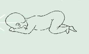 ����Ӥ���˶������ķ�չ˳��