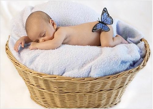 Ӥ��������Ҫע����ر�λ