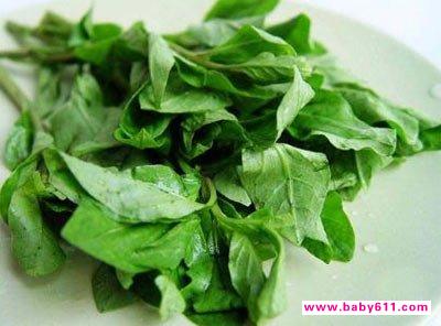 ��ѡʳ�İﱦ������������