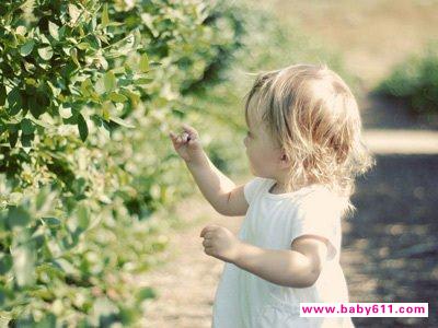 ����Ǳ�����е�ʮ������ԭ