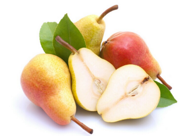 �ʺϱ����＾������ʳ�� ���������