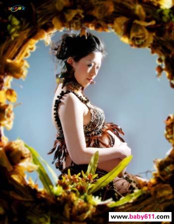 �����и���Ƭ