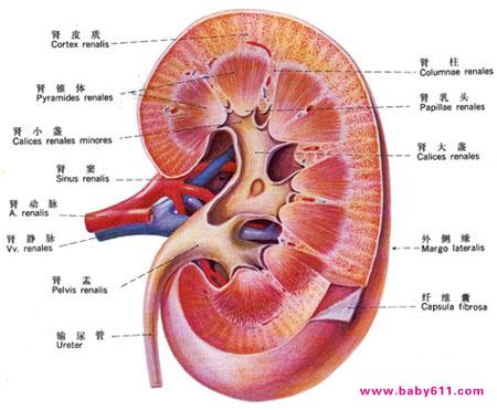 ��������Ϊʲôû��غ��