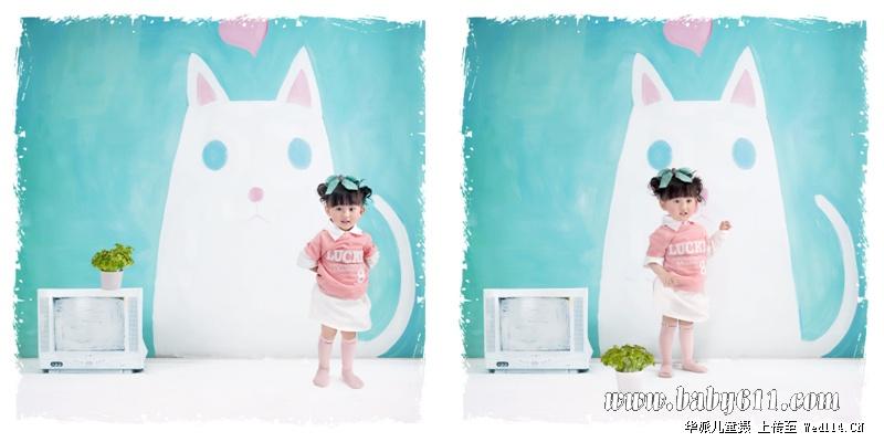 �ۺ�ɫ����è��