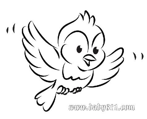 小鸟:儿童涂色卡图片素材-可做简笔画