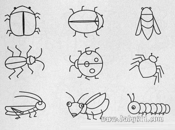 昆虫类简笔画