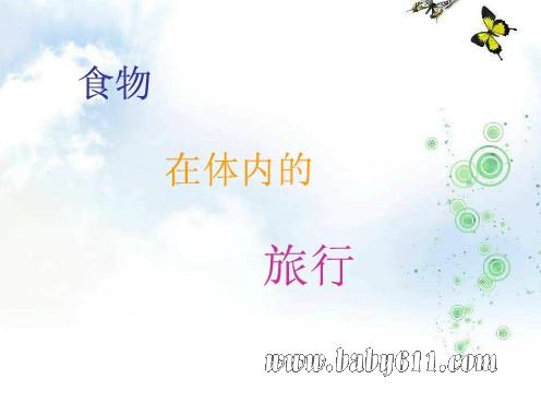 �׶�԰PPT�μ���ʳ�������ڵ����С�