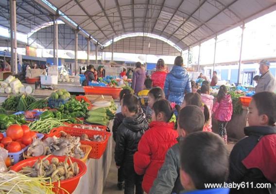 幼儿园参观农贸市场活动方案_幼儿园计划总