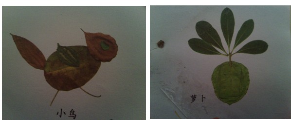 幼儿园中班美术:种子粘贴画