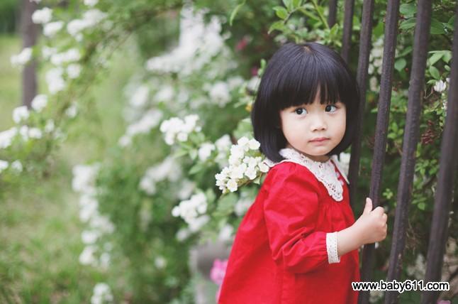 ���۾�С����