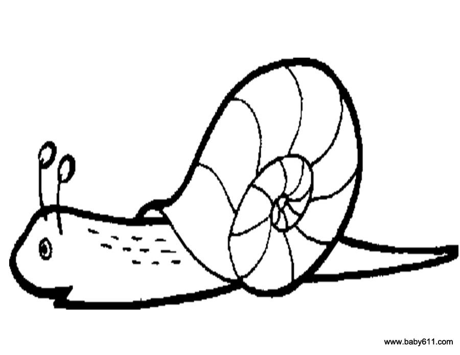 儿童涂色卡图片:蜗牛