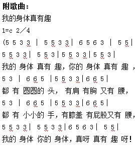 幼儿园中班音乐教案:会动的身体 - 音乐教案