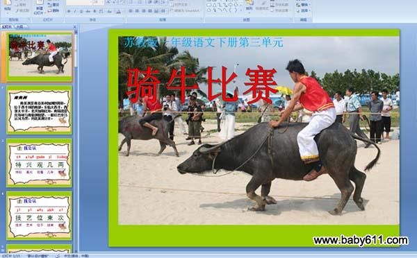 ��ţ����