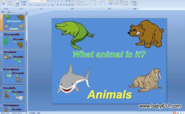 What animal is it
