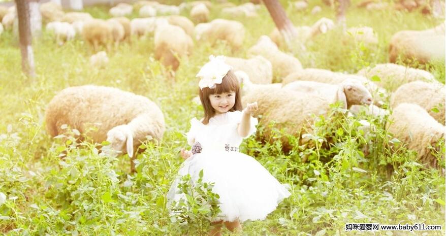 �ʼ�С����