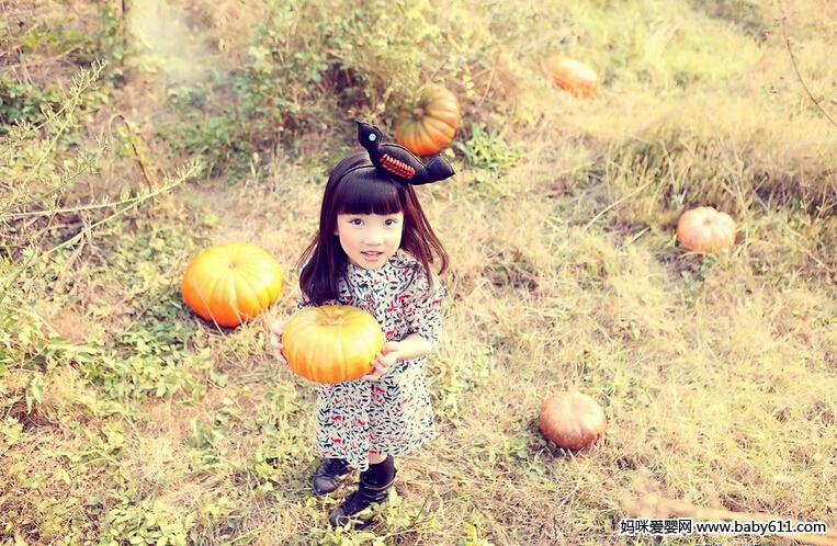 ���ݱ����㡶������������ҡ�