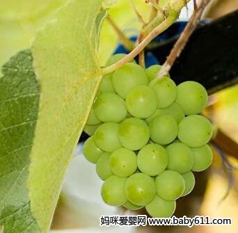 ����Ҫ�Զ�ʳ�� ������ʳ���ݴ���