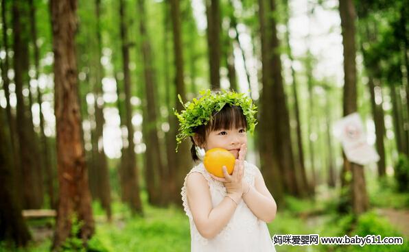 ��С����ɭ��С����