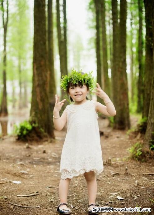 ��С����ɭ��С����