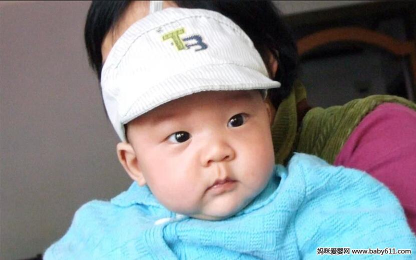 ������Ƭ��������