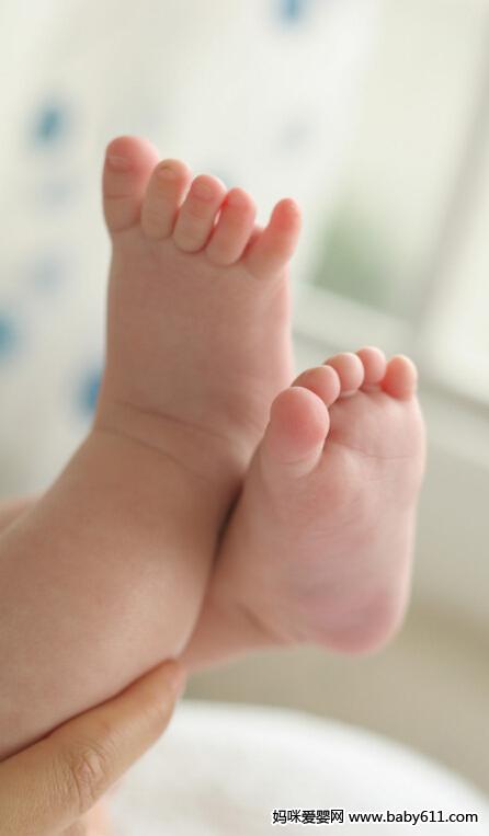 ���е�С����