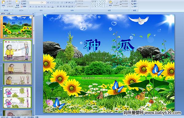 幼儿园大班语言《种瓜》ppt课件