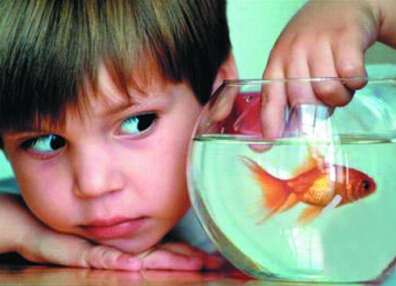 孩子交往少易性格孤僻